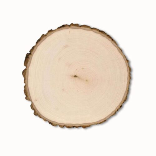 Best Wood for Pyrography | Wood for Woodburning | Beginner Tutorials | Woodburned