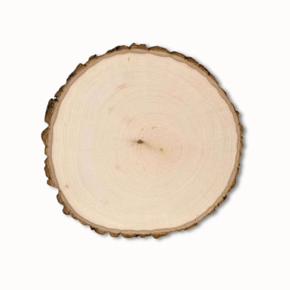 Best Wood for Pyrography | Wood for Woodburning | Beginner Tutorials | Woodburned